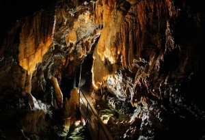 Geobiology studies earth discontinuites such as caves where water often flows through